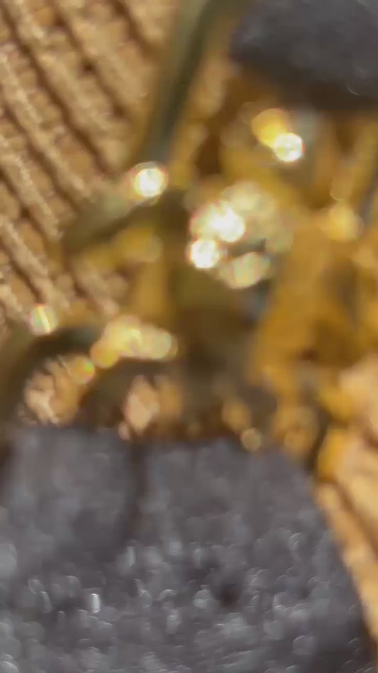 Brilliant Black Semi-Thong Set