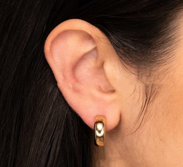 EARRINGS - French ins C Shaped Stainless Steel Hoop