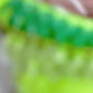 Lemon Green Semi-Thong Set